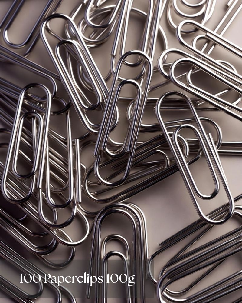 100-paperclips-100g