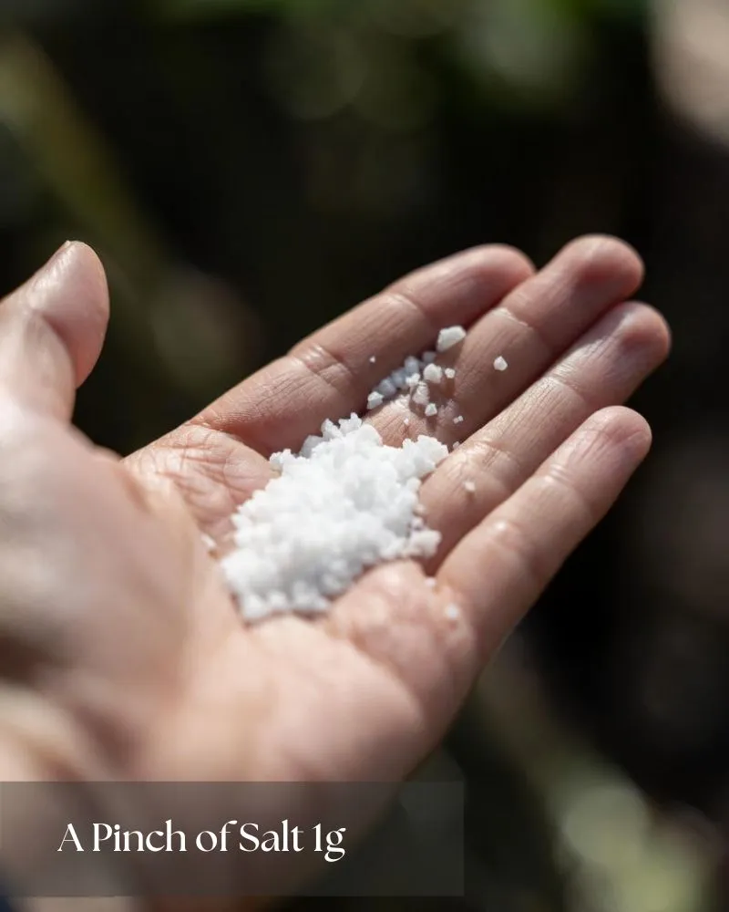 a-pinch-of-salt-1g