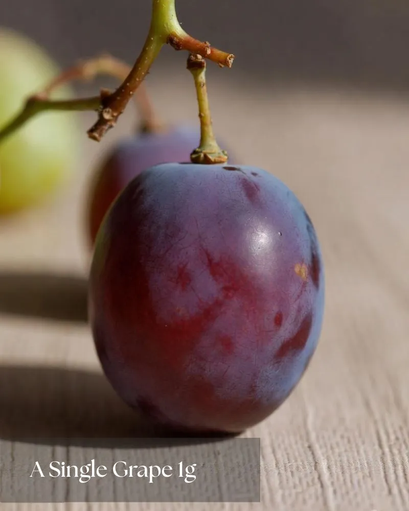 a-single-grape-1g