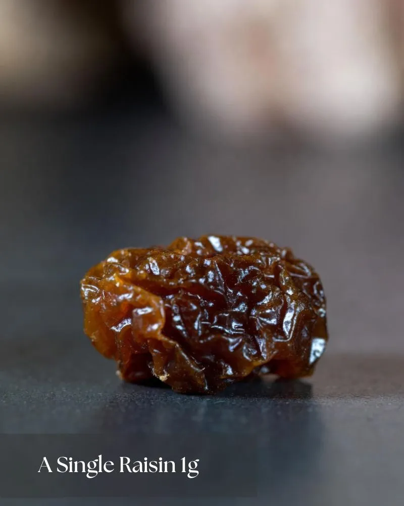 a-single-raisin-1g