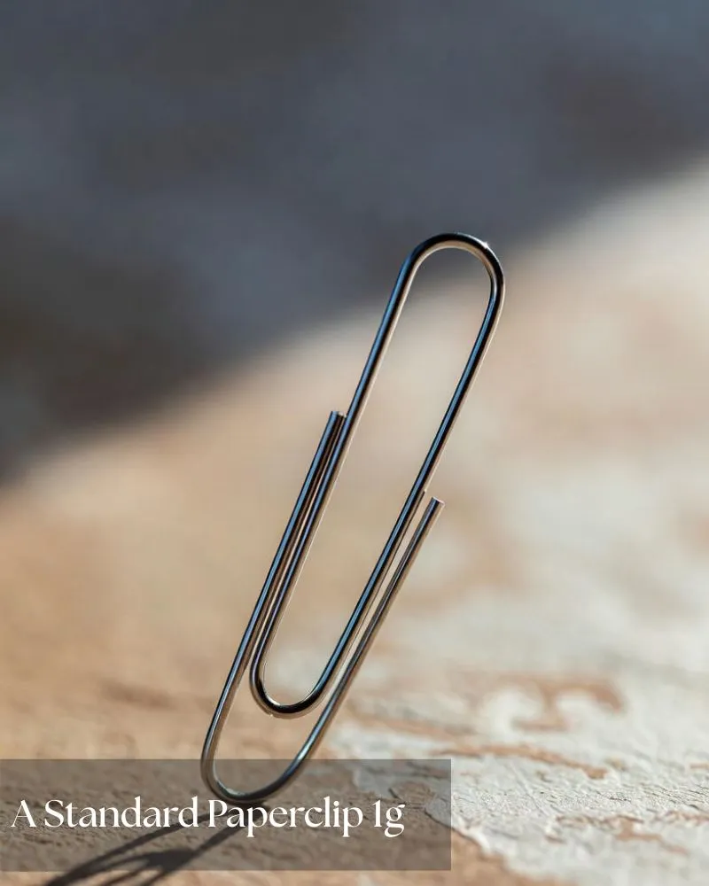 a-standard-paperclip-1g