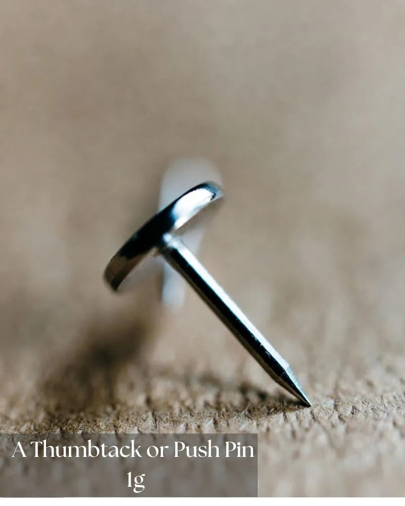 a-thumbtack-or-push-pin-1g