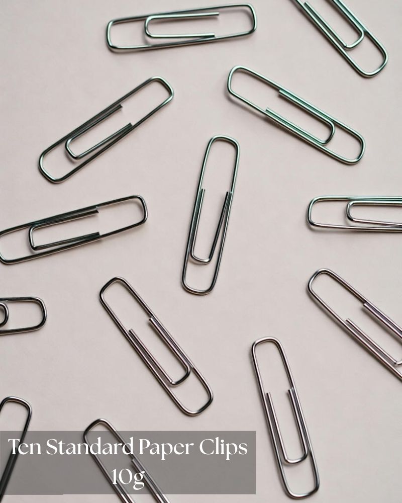 ten-standard-paper-clips-10g