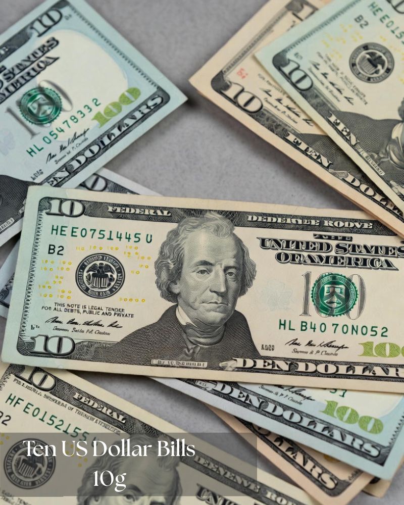 ten-us-dollar-bills-10g