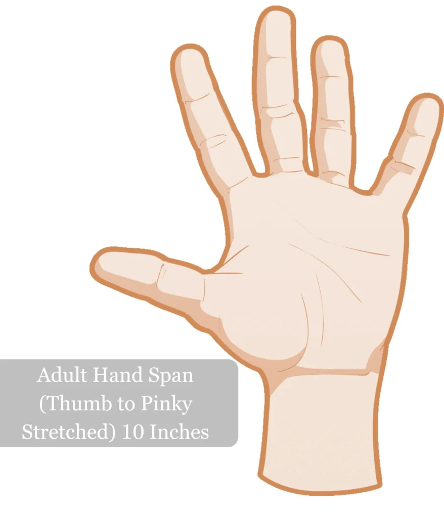 adult-hand-span-10-inches