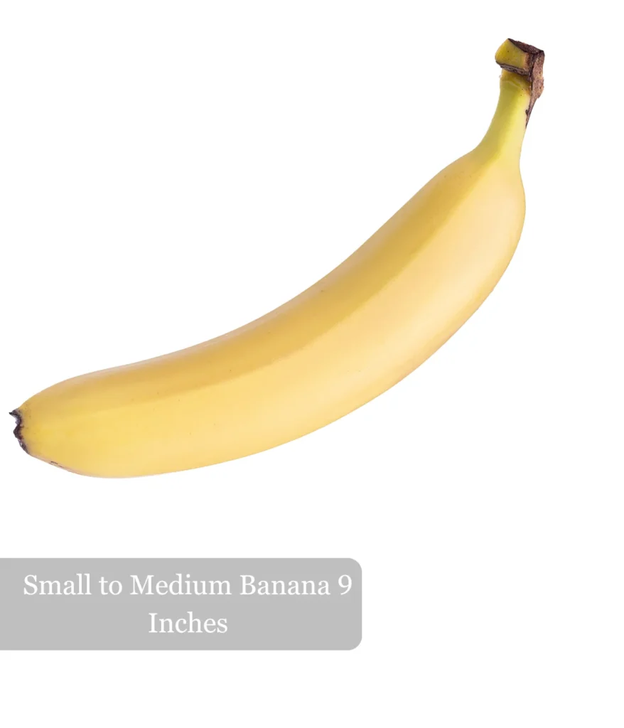 small-to-medium-banana-9-inches