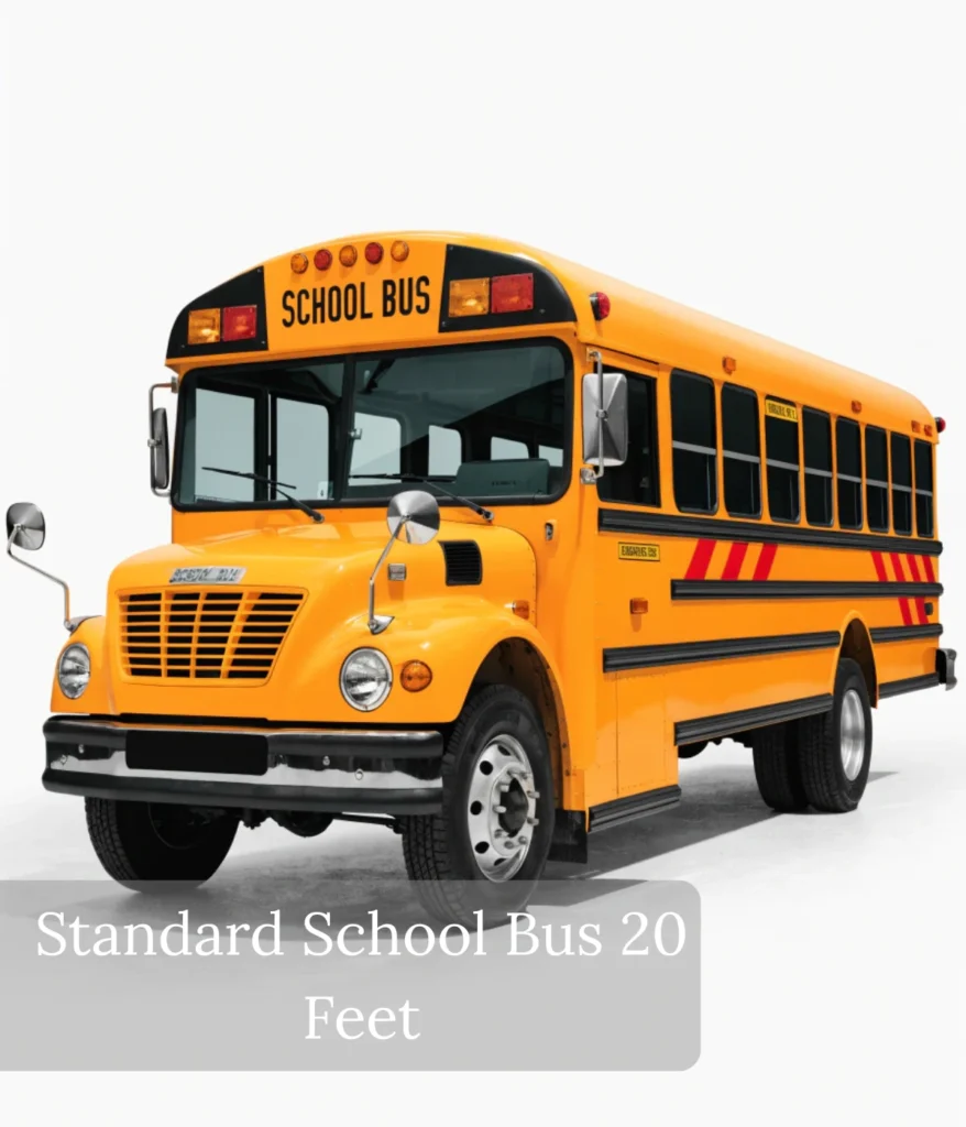 standard-school-bus-20-feet