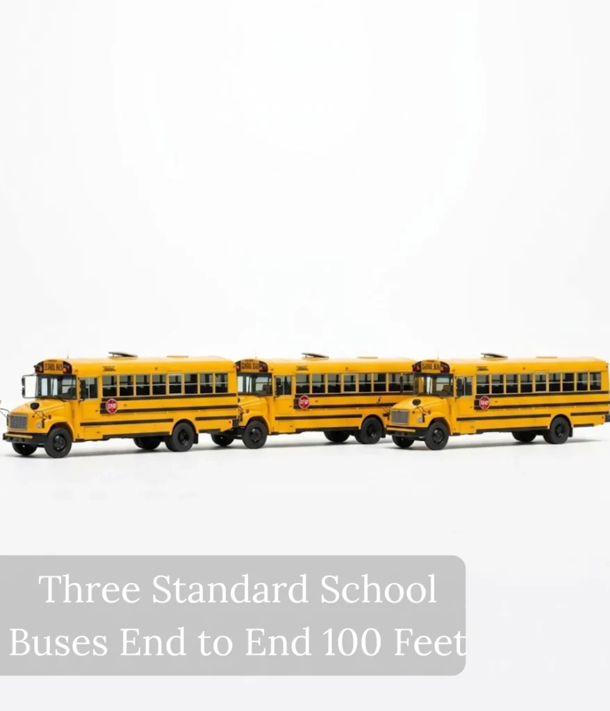 three-standard-school-buses-end-to-end-100-feet