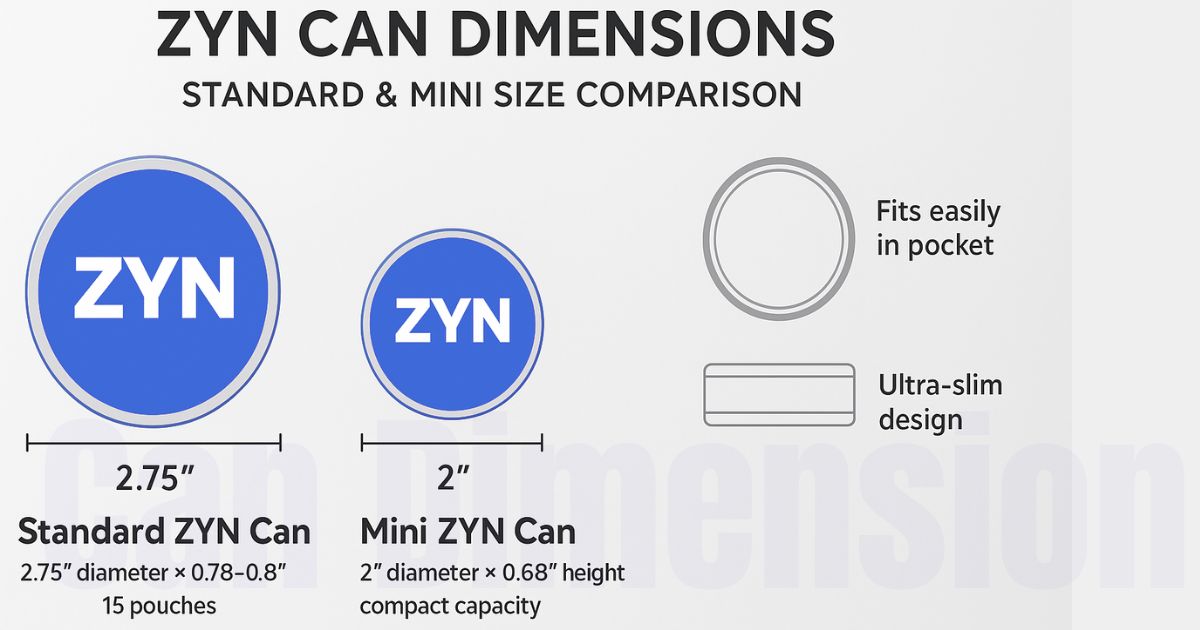 zyn-can-dimensions-standard-sizes