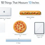 things-that-are-13-inches-long